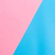 のぞみの画像