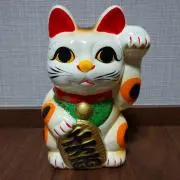 ★tubakiの画像