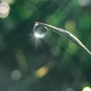 029の画像