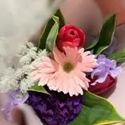 MAMIの画像
