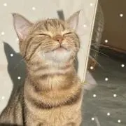 chinmi