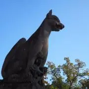 Mirinの画像