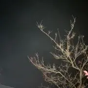 Ko_＊
