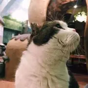 こま＊プロフご確認願います＊の画像