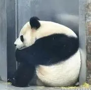 ミー