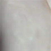 ミの画像