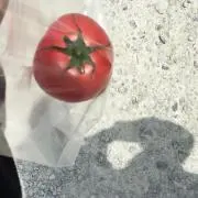 atの画像