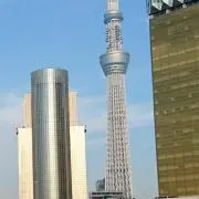 皐月