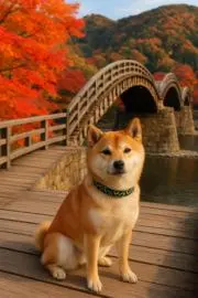 Edayaの画像