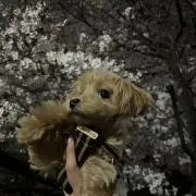 meの画像