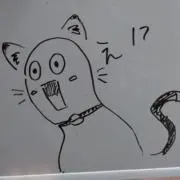 SSRの画像
