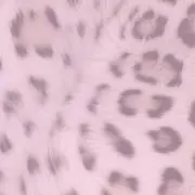 ふわり