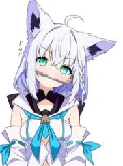 白上フブキの画像