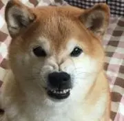 里海