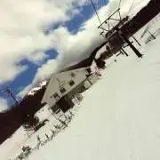 すうの画像