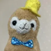 ととの画像