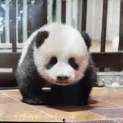 miiiiiの画像