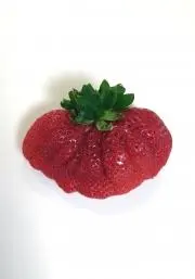 vannyの画像