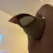 yuujiの画像