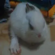 うさらら☆