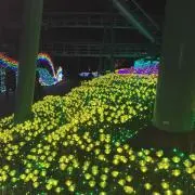 chisaの画像