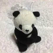 ヒロの画像