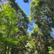 太陽光発電の画像
