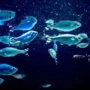聖の画像