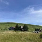 きゅうりの画像
