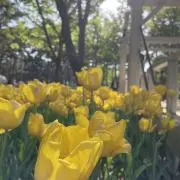 Hの画像