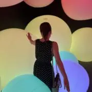 ぴょんの画像
