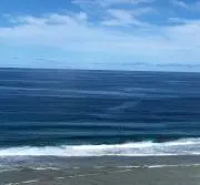 n.プロフ必読の画像