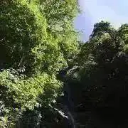 ☆グリーンフォーレスト☆の画像
