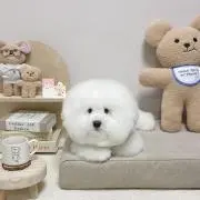 ⸌⍤⃝⸍
