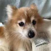 杏&葉月　プロフィールを必ず見てくださいの画像