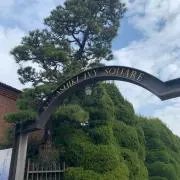 おくらの画像