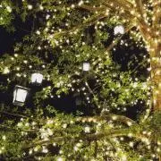 みか（プロフィールご確認ください）
