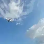 さんの画像