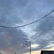 ぺの画像