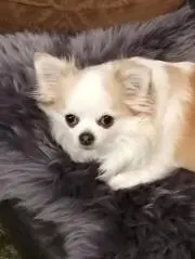 エドワード