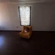 コヌアの画像
