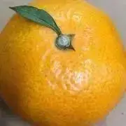 ミカンの画像