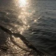 ୨୧⑅*の画像