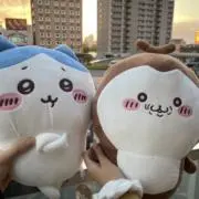ygの画像
