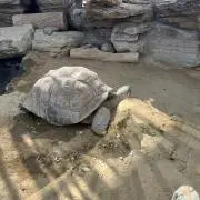 E SANの画像