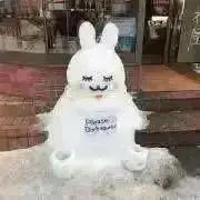 ちっぷの画像
