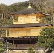 ミラクルの画像