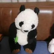 ぱんちゃん
