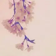 ひろこ