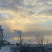 ゆゆゆ